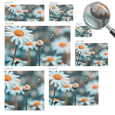 Stick-on wall mural Chamomile delicacy