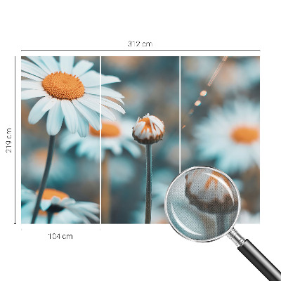 Stick-on wall mural Chamomile delicacy