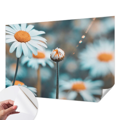 Stick-on wall mural with a chamomile motif