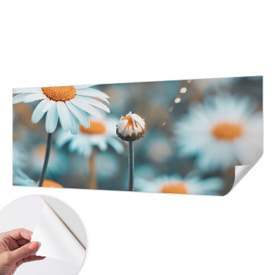 Stick-on wall mural Chamomile delicacy