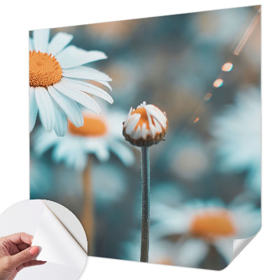 Stick-on wall mural with a chamomile motif