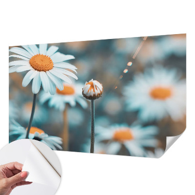 Stick-on wall mural with a chamomile motif