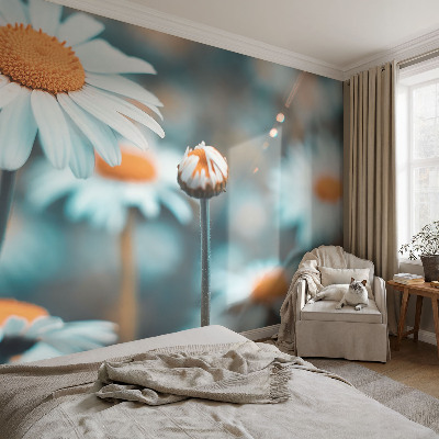 Stick-on wall mural with a chamomile motif