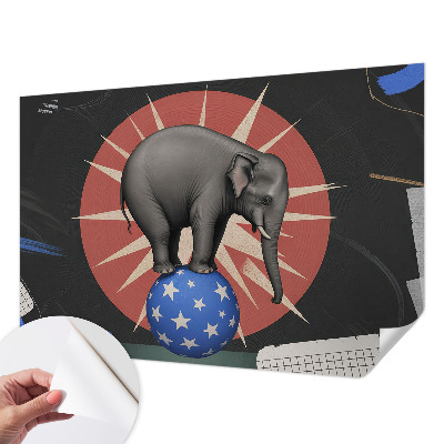 Peel and stick wall mural with a circus elephant design
