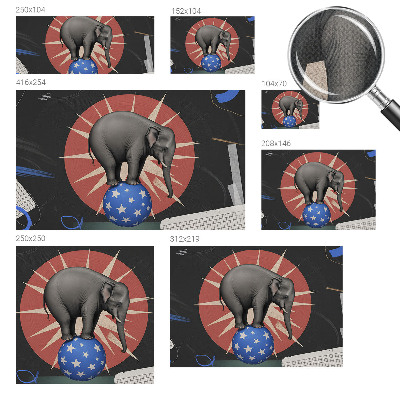 Peel and stick wall mural with a circus elephant design