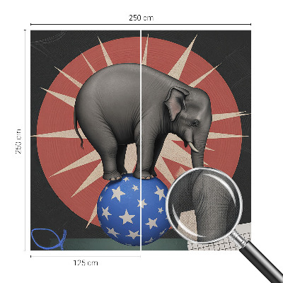 Peel and stick wall mural Circus elephant