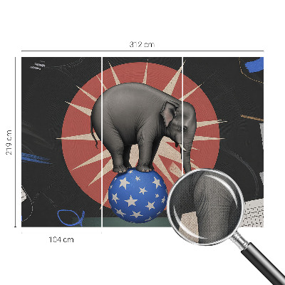 Peel and stick wall mural with a circus elephant design