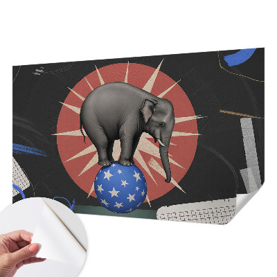 Peel and stick wall mural with a circus elephant design