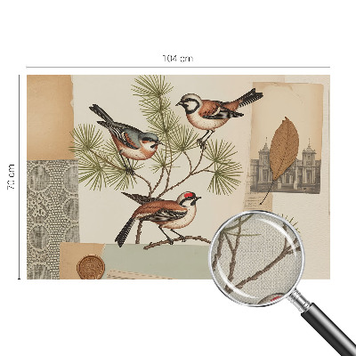 Self-adhesive photo wallpaper with a collage of birds