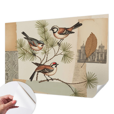 Self-adhesive photo wallpaper with a collage of birds