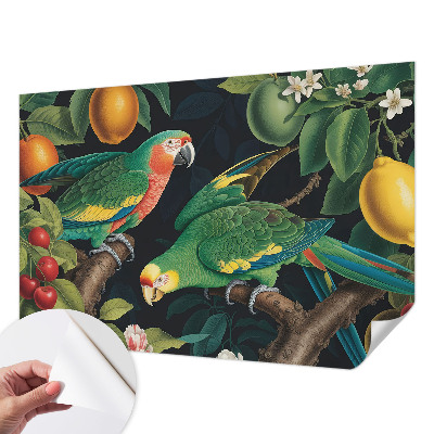 Removable wall mural with a tropical adventure motif