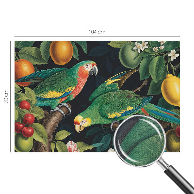 Removable wall mural Tropical adventure