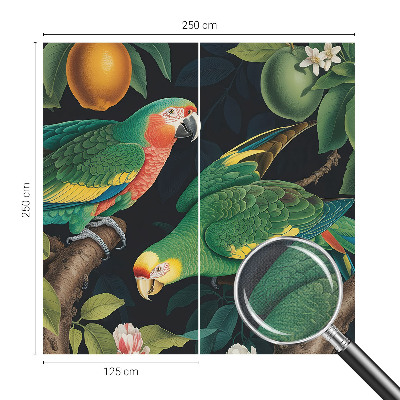 Removable wall mural Tropical adventure