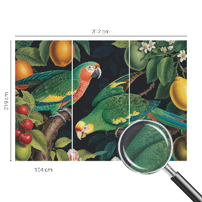 Removable wall mural Tropical adventure
