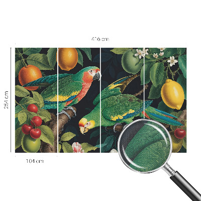 Removable wall mural Tropical adventure