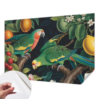 Removable wall mural Tropical adventure