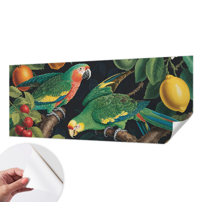 Removable wall mural Tropical adventure
