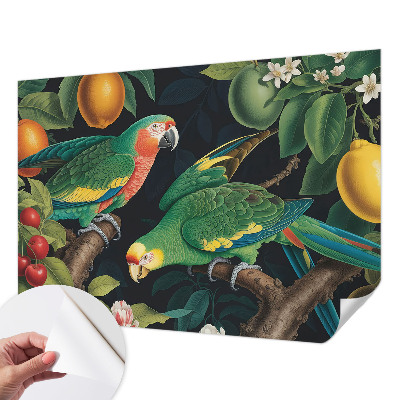 Removable wall mural Tropical adventure
