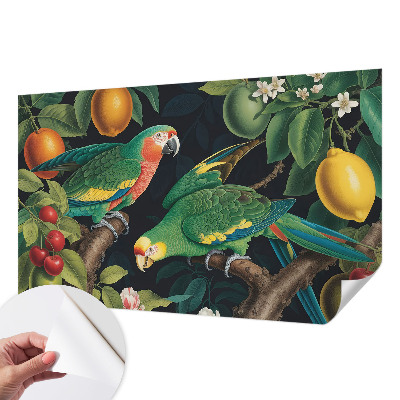Removable wall mural Tropical adventure