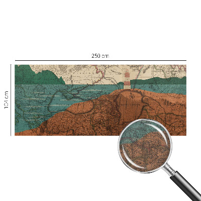 Peel and stick wall mural with a historical map design