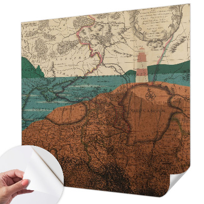 Peel and stick wall mural with a historical map design