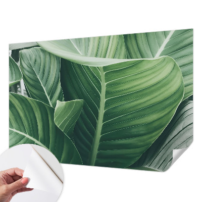 Peel and stick wallpaper mural with a green peace design