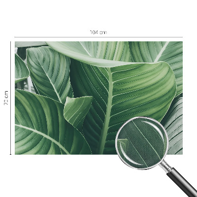 Peel and stick wallpaper mural Green peace