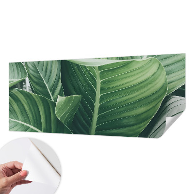 Peel and stick wallpaper mural Green peace