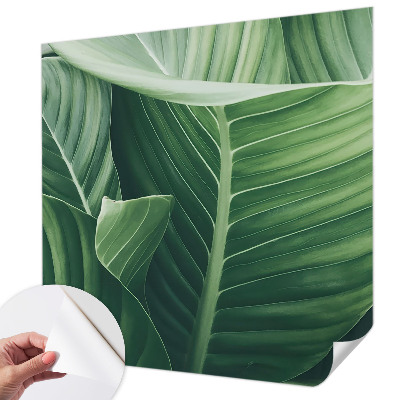 Peel and stick wallpaper mural Green peace
