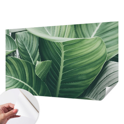 Peel and stick wallpaper mural with a green peace design