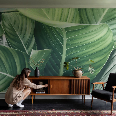 Peel and stick wallpaper mural with a green peace design
