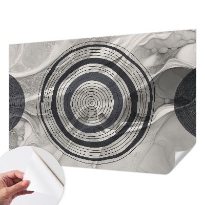 Baby room wall mural Circles of gray