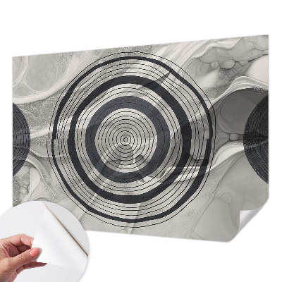 Baby room wall mural Circles of gray