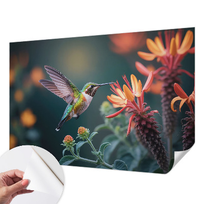 Peel and stick wall mural Hummingbird flowers