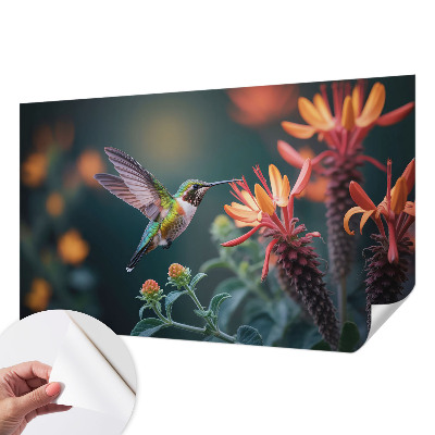 Peel and stick wall mural with a hummingbird and floral motif