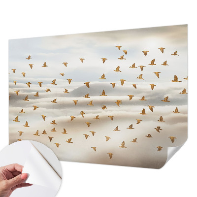 Baby room wall mural with a birds in flight design