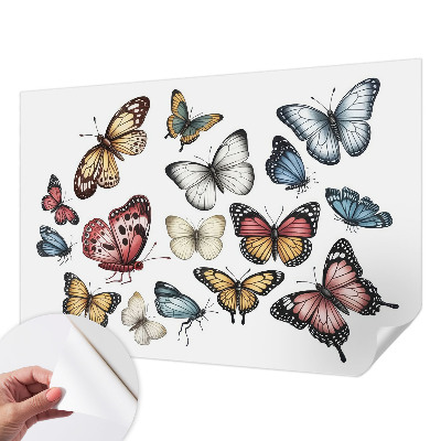 Self-adhesive wall mural Paradise butterflies