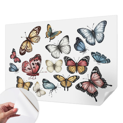 Self-adhesive wall mural with a paradise butterflies design