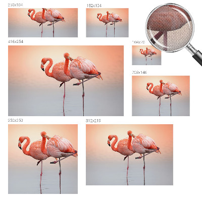 Self-adhesive wall mural Delicate flamingos