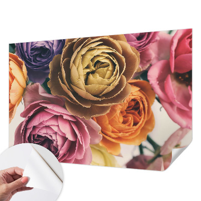 Removable wall mural wallpaper with a colorful rose pattern