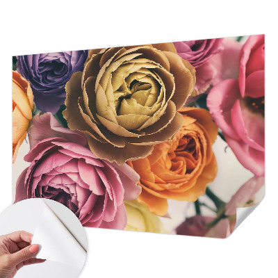 Removable wall mural wallpaper with a colorful rose pattern