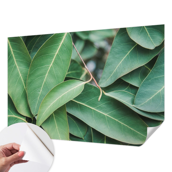 Peel and stick wall mural for kids' room Green leaves