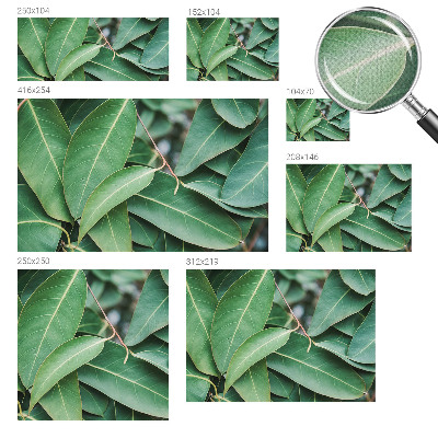 Peel and stick wall mural for kids' room with a green leaves design