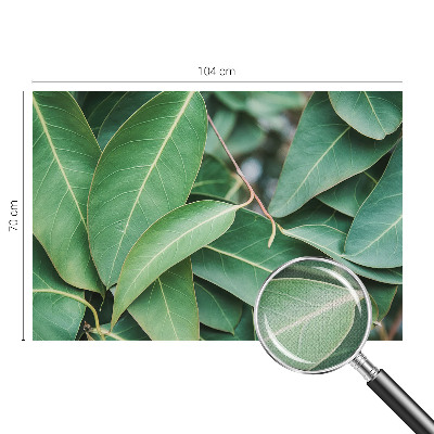 Peel and stick wall mural for kids' room Green leaves