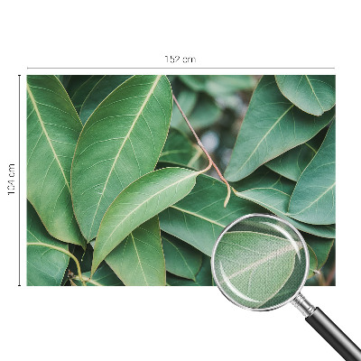 Peel and stick wall mural for kids' room with a green leaves design