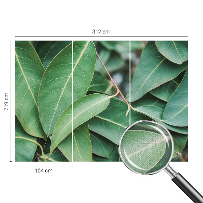 Peel and stick wall mural for kids' room Green leaves