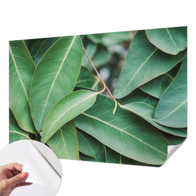Peel and stick wall mural for kids' room Green leaves