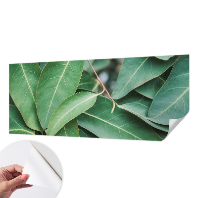 Peel and stick wall mural for kids' room Green leaves