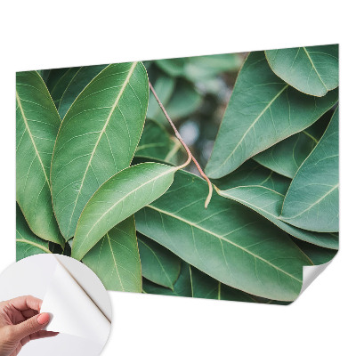 Peel and stick wall mural for kids' room Green leaves