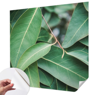 Peel and stick wall mural for kids' room Green leaves